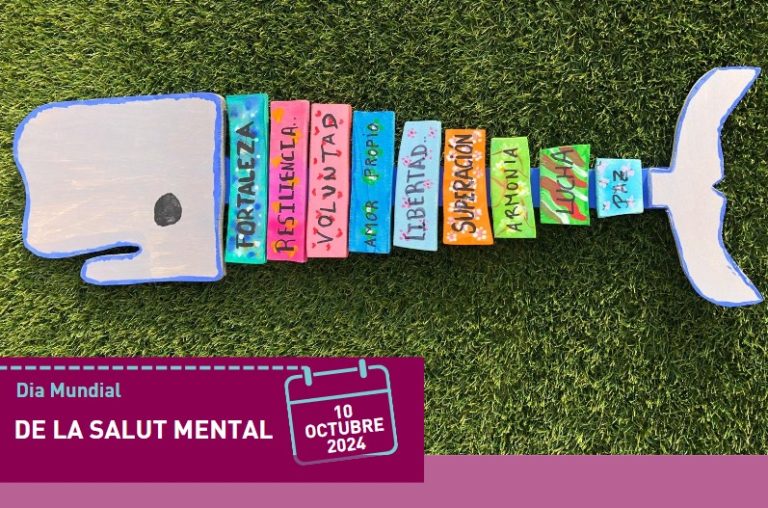 Treball realitzat a la Unitat de Rehabilitació de TCA.