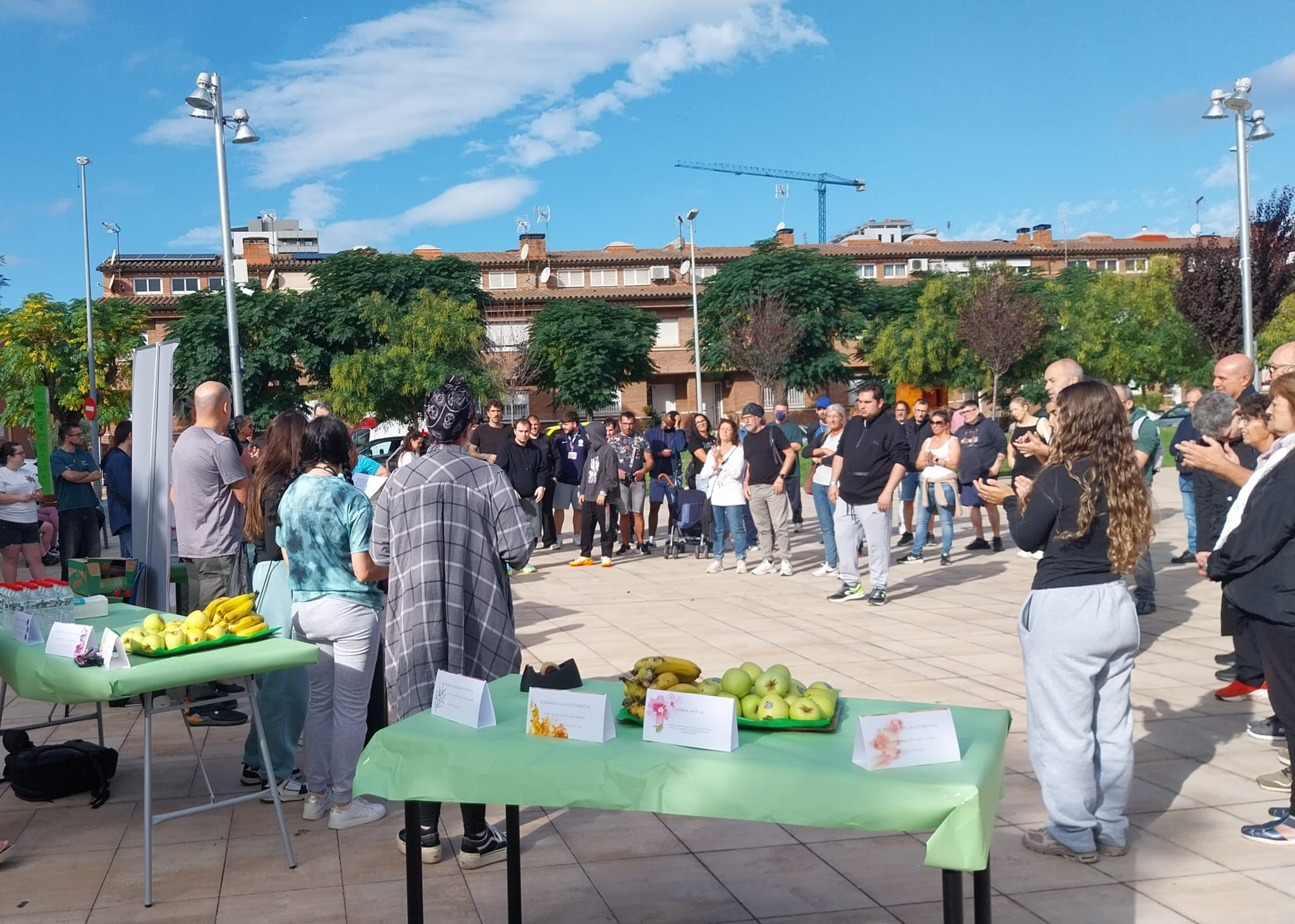Dia de la salut mental